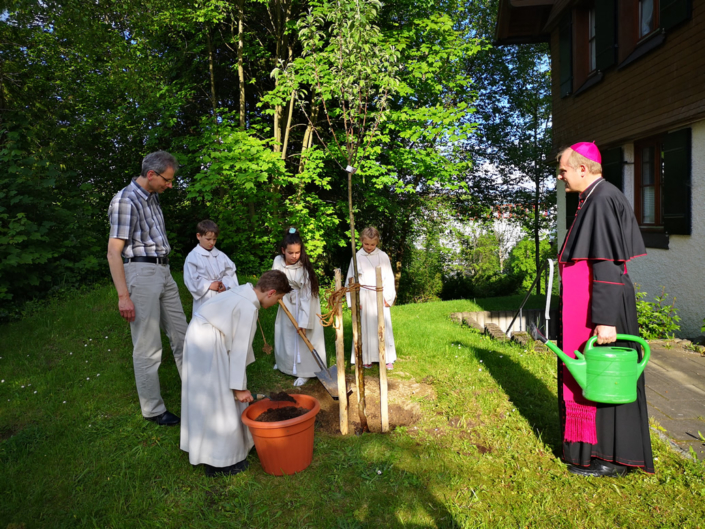 IMG_20190531_182402